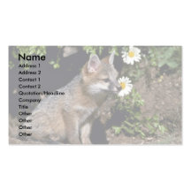 Equipo Fox-joven gris Plantilla De Tarjeta De Negocio