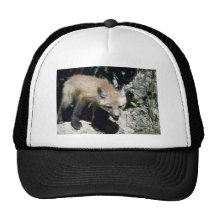 Equipo Fox-joven rojo que emerge de guarida del ve Gorros Bordados