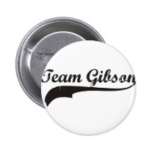 equipo gibson pins