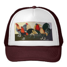 Equipo ideal del gallo gorra