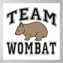 Equipo Wombat V Impresiones