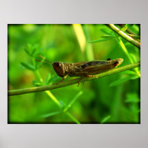 ¿Era el guckst Du? Poster