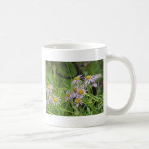 Erigeron del wildflower de la margarita de Fleaban Tazas