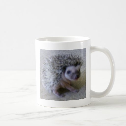 Erizo bonito que se sienta tazas