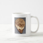 erizo del bebé taza