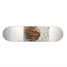 ermitaño-cangrejo-cuidado patineta personalizada