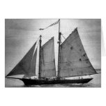 Ernestina b/w--tarjeta en blanco