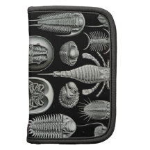 Ernst Haeckel - Aspidonia Organizador