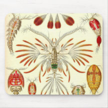 Ernst Haeckel - detalle de Copepoda Alfombrilla De Raton