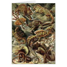 Ernst Haeckel - lagartos de Lacertilia Felicitaciones