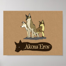 Eros de Akona - Kyle, Dan y Charlie Impresiones