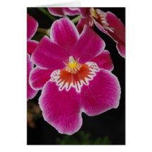 Eros del Miltonia - orquídea de pensamiento Felicitacion