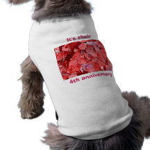 Es su 4to aniversario camisetas mascota