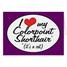 ¡Es un gato! Amo mi Colorpoint Shorthair Felicitacion