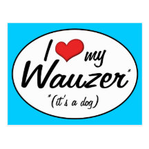 ¡Es un perro! Amo mi Wauzer Tarjetas Postales