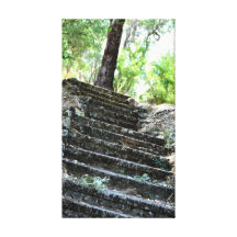 Escaleras de la vida impresiones de lienzo