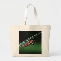 Escarabajo Bolsa