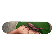 Escarabajo de macho en la mano tablas de patinar