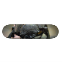 Escarabajo de macho monopatín personalizado