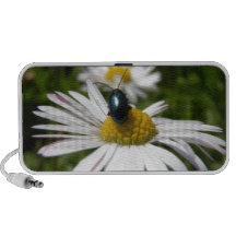 Escarabajo del primer que se sienta en la foto de  iPod altavoz