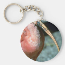 Escarlata Ibis, primer Llaveros
