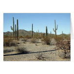 Escena 16 del desierto de Sonoran Felicitacion