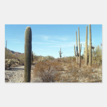 Escena 17 del desierto de Sonoran Etiquetas