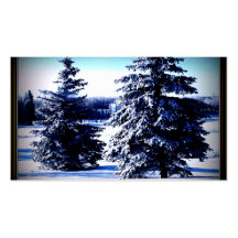 Escena canadiense del invierno tarjetas de visita