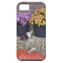 Escena de la caída de la cosecha de la acción de g iPhone 5 Case-Mate cárcasa