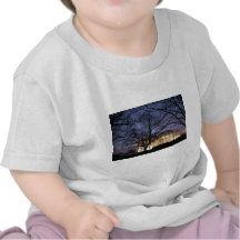 Escena de la noche de la Casa Blanca Camiseta