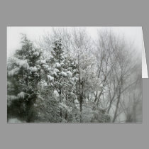 Escena del árbol del invierno Nevado tarjetas