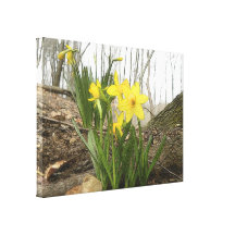 Escena del arbolado - narcisos impresiones en lona