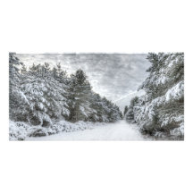 Escena del bosque Nevado Tarjeta Fotográfica Personalizada