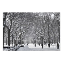Escena del invierno de la alameda del Central Park Arte Fotográfico