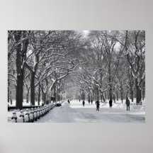 Escena del invierno de la alameda del Central Park Posters