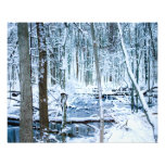 escena del invierno impresion fotografica