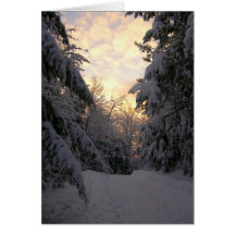 Escena del invierno, tarjeta de felicitación en bl