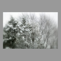 Escena hivernal de la nieve en bosque posters
