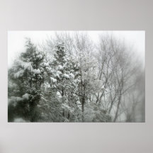 Escena hivernal de la nieve en bosque poster