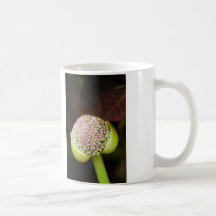 escena prístina tazas de café
