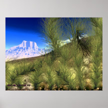 Escena V.4 del desierto Impresiones