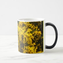 Escoba amarilla taza de café