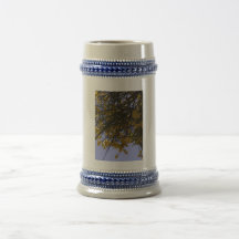 Escoba amarilla tazas