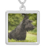 Escocés Terrier Colgante Personalizado