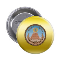 Escudo de armas de Estados Unidos Pin