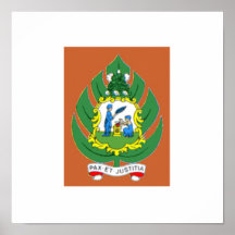 Escudo de armas de San Vicente y las Granadinas Impresiones