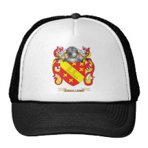 Escudo de armas del caballero (escudo de la famili gorros  