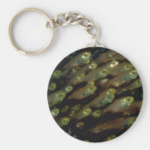 Escuela de glassfish pulgada-largos llaveros personalizados