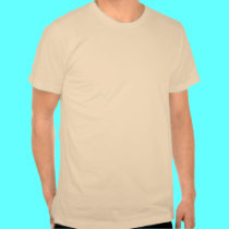 Escuela vieja de las curiosidades camisetas