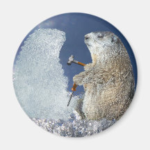 Escultura de hielo del día de la marmota imanes  